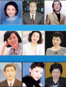 全球十大最高收入女星_央视十大名嘴月收入(3)